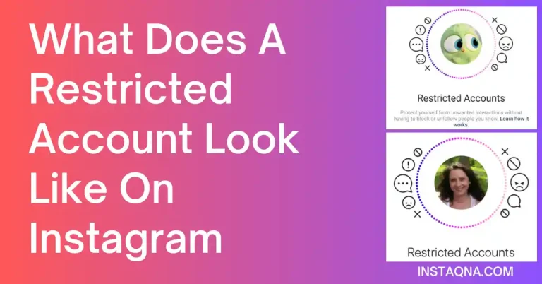 What Does A Restricted Account Look Like On Instagram